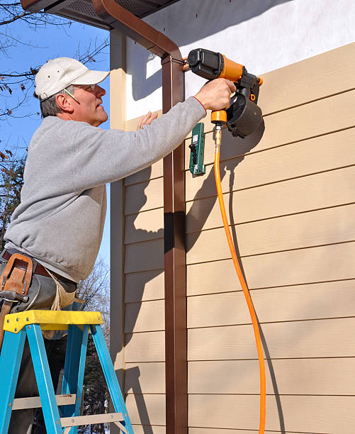 Best Insulated Siding Installation  in Hamburg, IA